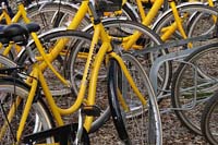 [#671h] gula cyklar, gul cykel, svart stänkskydd, ekrar, cykelställ
