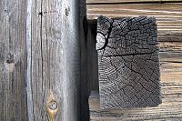 [#2457s] Trä, timmer, årsringar, idébild